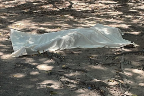 Homem é morto a pauladas no bairro Coroado