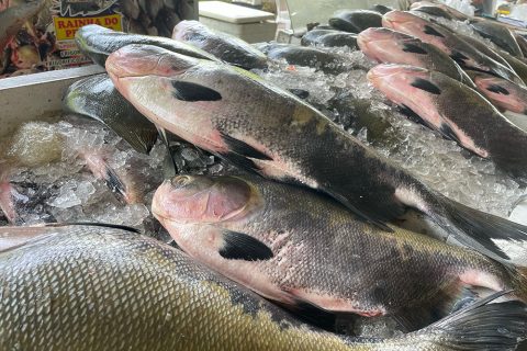 Governo anuncia compra de alimentos afetados por tarifas dos EUA sem prazo definido