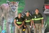 Sejusc auxilia pessoas com deficiência na criação de currículos e conquista de vagas de trabalho em Manaus