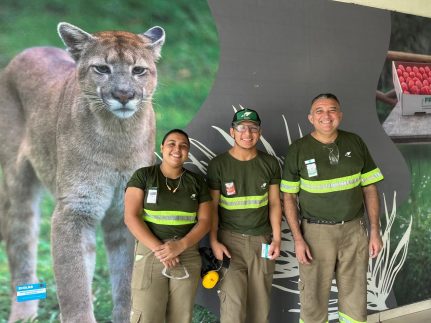 Sejusc auxilia pessoas com deficiência na criação de currículos e conquista de vagas de trabalho em Manaus