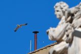 Fumaça à vista: Vaticano instala chaminé para escolha do novo papa