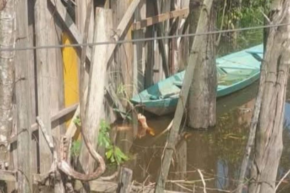 Corpo de vítima de afogamento é resgatado na comunidade do Cacau Pirêra Corpo de vítima de afogamento é resgatado na comunidade do Cacau Pirêra