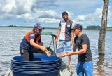 Cheia no Amazonas já afeta mais de 500 mil pessoas em 43 municípios