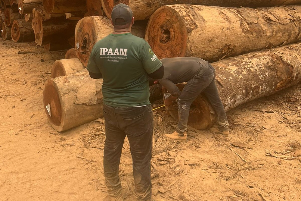 Período do Defeso Florestal termina nesta quinta-feira no Amazonas Período do Defeso Florestal termina nesta quinta-feira no Amazonas