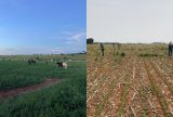 Humaitá promove debate sobre agricultura regenerativa e segurança alimentar