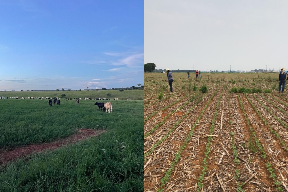 Humaitá promove debate sobre agricultura regenerativa e segurança alimentar Humaitá promove debate sobre agricultura regenerativa e segurança alimentar