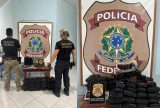 PF encontra 65 kg de drogas camufladas em sacos de lixo e alimentos no Amazonas