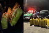 Polícia apreende 240 kg de maconha dentro de carro durante abordagem na AM-070