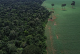 Brasil apresenta soluções de financiamento climático em Nova York