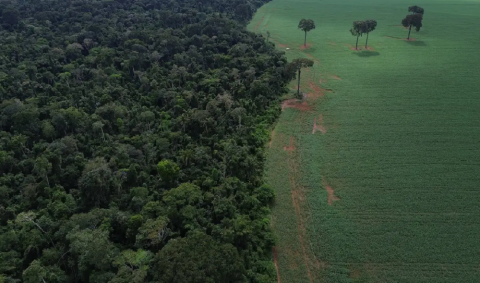 Brasil apresenta soluções de financiamento climático em Nova York