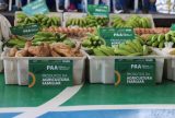 Setor primário de Tapauá recebe mais de R$ 140 mil em investimentos