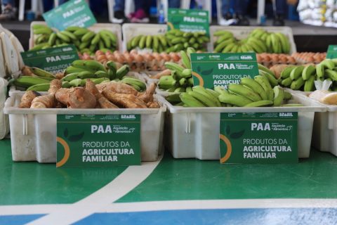 Setor primário de Tapauá recebe mais de R$ 140 mil em investimentos