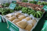 Produtores rurais de Tapauá recebem equipamentos e mais de R$ 2 milhões em investimentos