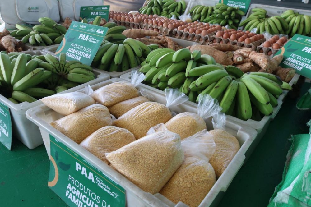 Produtores rurais de Tapauá recebem equipamentos e mais de R$ 2 milhões em investimentos Produtores rurais de Tapauá recebem equipamentos e mais de R$ 2 milhões em investimentos
