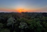 Em parceria com o Pará e Inpa, MPAM promove evento sobre emergência climática na Amazônia com foco na COP30