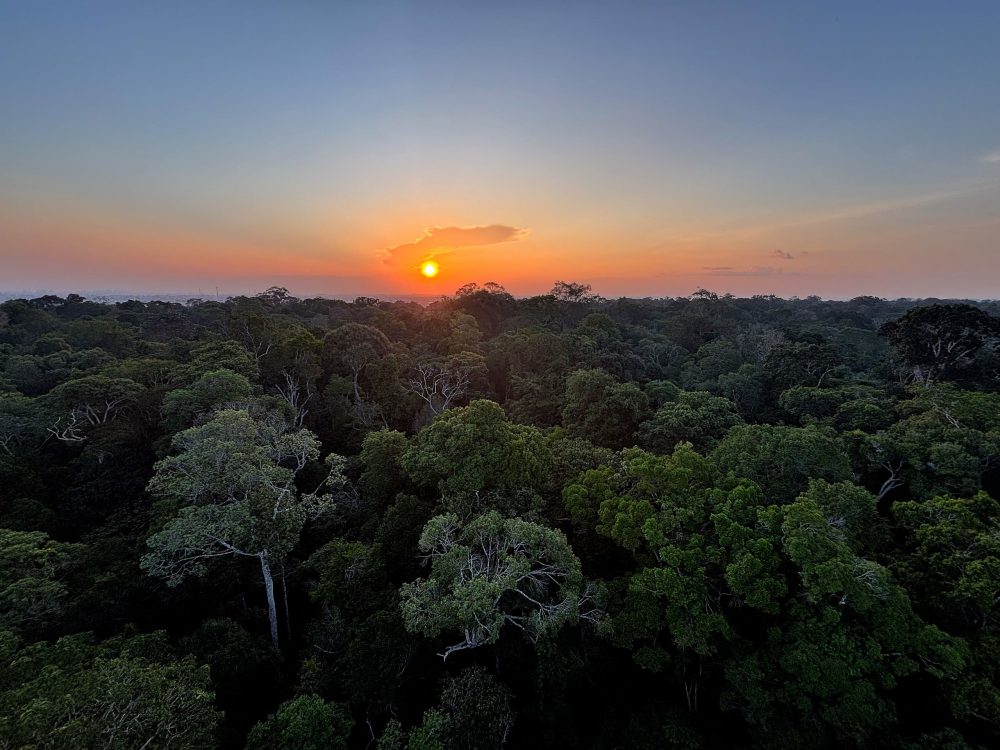 Em parceria com Pará e Inpa, MPAM promove evento sobre emergência climática na Amazônia com foco na COP30 Em parceria com Pará e Inpa, MPAM promove evento sobre emergência climática na Amazônia com foco na COP30