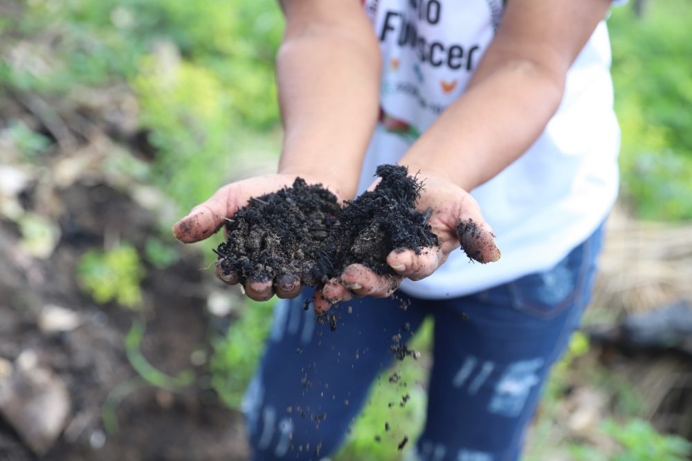 Amazonas lança Plano Estadual de Agroecologia e Produção Orgânica para consulta pública Amazonas lança Plano Estadual de Agroecologia e Produção Orgânica para consulta pública