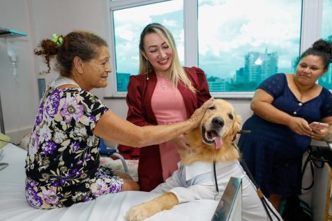 Cães terapeutas levam alegria e bem-estar a pacientes do Complexo Hospitalar Sul