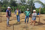 Cultivo de melancia em sistema vertical gera bons resultados e impulsiona agricultura em Parintins