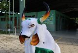 FUnATI promove votação para escolher nome do boi-bumbá da instituição em Manaus