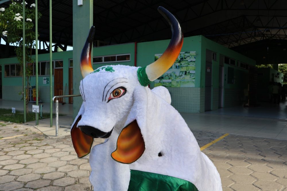 FUnATI promove votação para escolher nome do boi-bumbá da instituição em Manaus FUnATI promove votação para escolher nome do boi-bumbá da instituição em Manaus