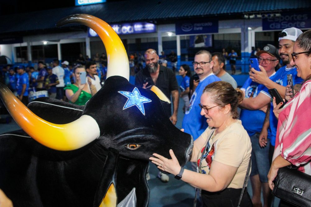 Caprichoso e Sebrae unem forças para fortalecer artesanato e sustentabilidade em Parintins Caprichoso e Sebrae unem forças para fortalecer artesanato e sustentabilidade em Parintins