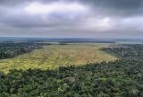 Câmara aprova mudanças no licenciamento ambiental e acende debate sobre retrocessos
