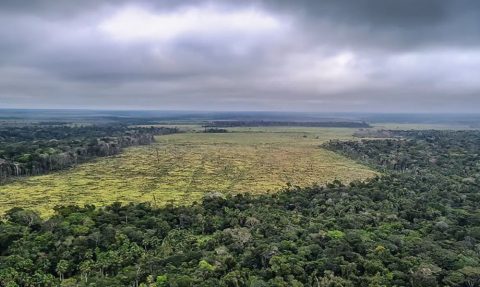Câmara aprova mudanças no licenciamento ambiental e acende debate sobre retrocessos