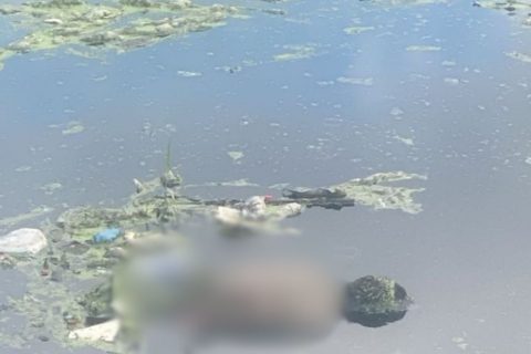 Corpo é encontrado boiando em igarapé no bairro Cachoeirinha