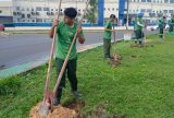 Clínica da Família ganha pomar e horta com plantas medicinais na zona Norte de Manaus
