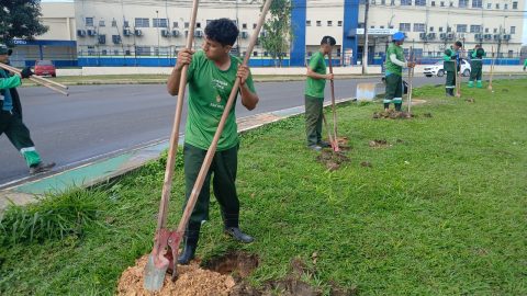 Clínica da Família ganha pomar e horta com plantas medicinais na zona Norte de Manaus