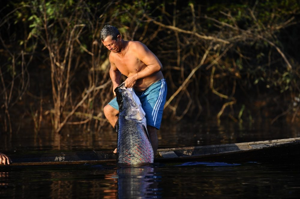 Acordo de Pesca assegura manejo sustentável e beneficia 200 famílias em Itamarati Acordo de Pesca assegura manejo sustentável e beneficia 200 famílias em Itamarati
