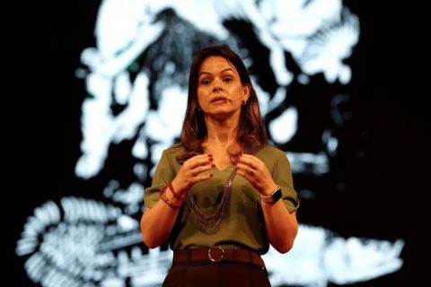 Preservar a Amazônia é questão de segurança nacional, diz especialista