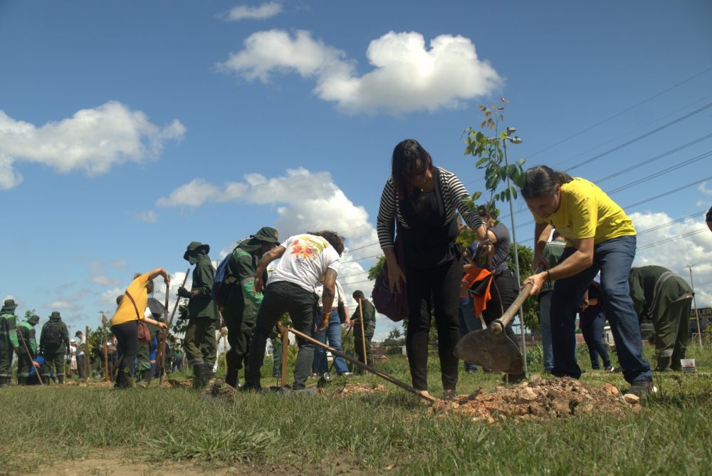 Manaus sedia Oficina Regional do Plano Nacional de Arborização Urbana e promove plantio de mudas Manaus sedia Oficina Regional do Plano Nacional de Arborização Urbana e promove plantio de mudas