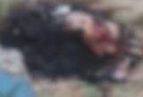Em chamas, corpo decapitado é encontrado em área de mata no bairro Jorge Teixeira