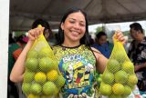 Feiras de Produtos Regionais movimentam zonas urbana e rural de Manaus nesta semana; confira programação