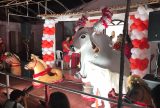 Boi Garantido honra promessa a São João com fé, emoção e tradição na Baixa da Xanda