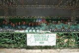 Festival de Parintins 2025: Projeto “Recicla, Galera” fortalece trabalho de catadores com EPIs, uniformes e apoio financeiro