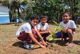 Manaus promove ação ambiental com plantio de mudas e educação ecológica na RDS do Tupé