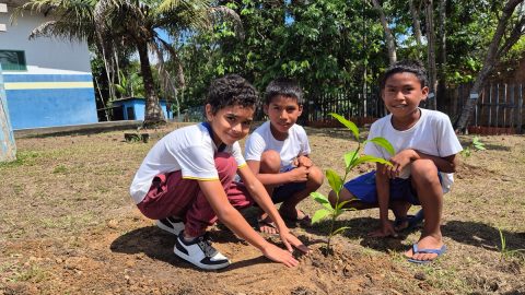 Manaus promove ação ambiental com plantio de mudas e educação ecológica na RDS do Tupé