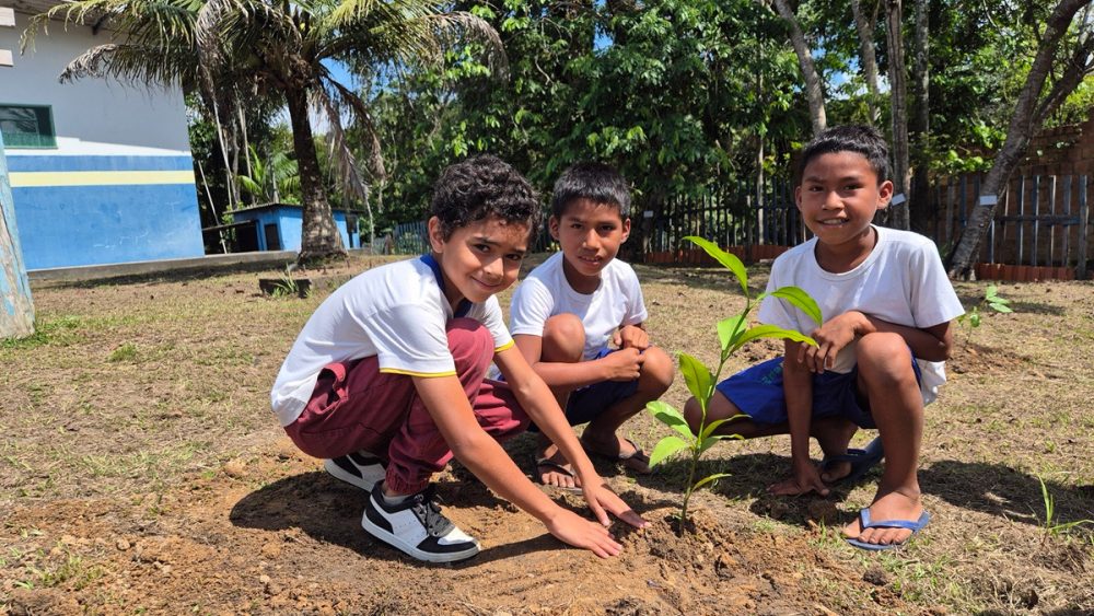 Manaus promove ação ambiental com plantio de mudas e educação ecológica na RDS do Tupé Manaus promove ação ambiental com plantio de mudas e educação ecológica na RDS do Tupé