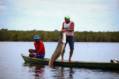 Governo Federal cria Semana Nacional da Pesca Artesanal