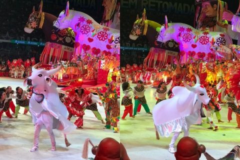 Garantido encerra o 58º Festival de Parintins exaltando as lutas do povo brasileiro e os saberes da Amazônia