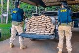 PRF apreende 69 kg de skunk em carroceria de veículo na BR-319