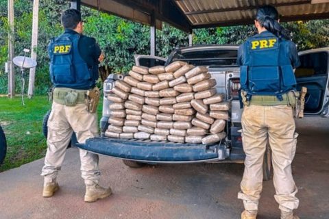 PRF apreende 69 kg de skunk em carroceria de veículo na BR-319