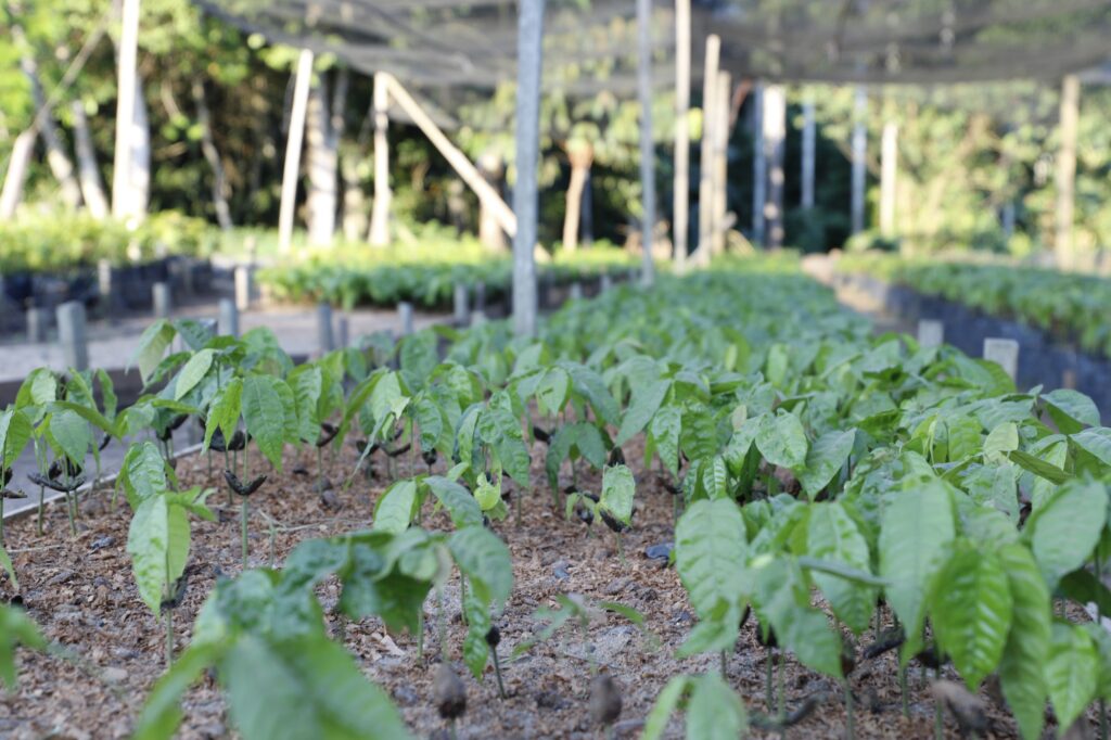 Dia de Campo leva orientações sobre regularização fundiária a produtores de Rio Preto da Eva Dia de Campo leva orientações sobre regularização fundiária a produtores de Rio Preto da Eva