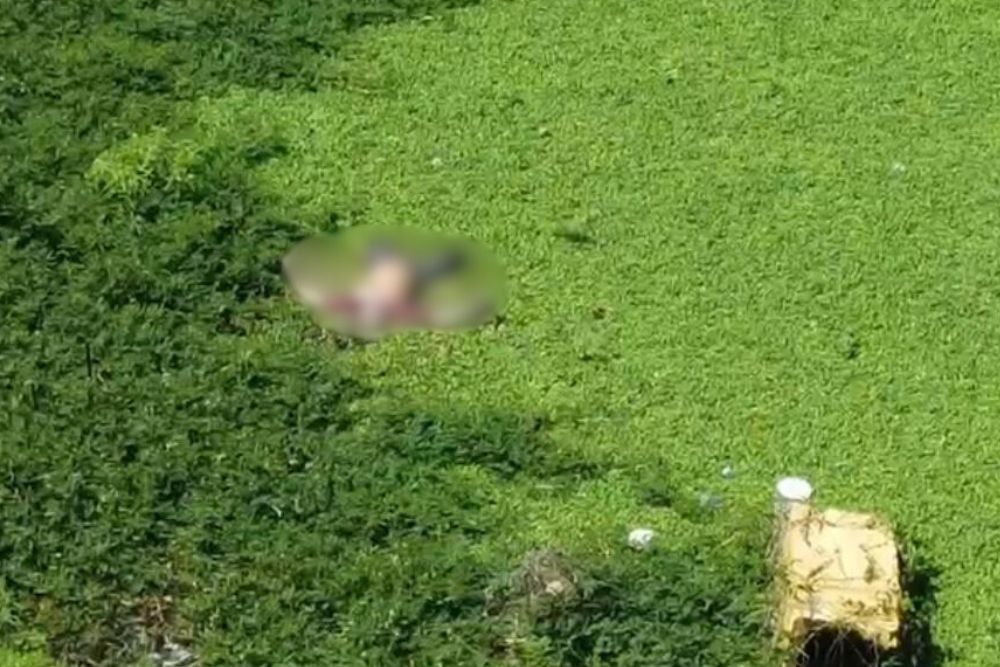 Cadáver em estado avançado de decomposição é localizado no Centro de Manaus Cadáver em estado avançado de decomposição é localizado no Centro de Manaus