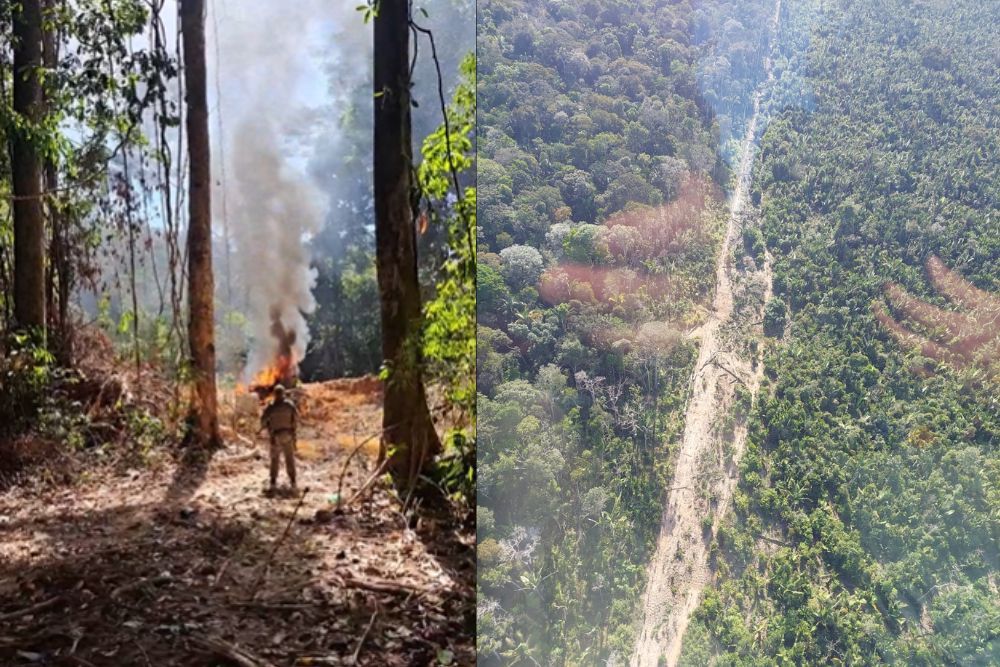 Fiscalização do Ibama na BR-319 desmonta estrutura de desmatamento ilegal no Amazonas Fiscalização do Ibama na BR-319 desmonta estrutura de desmatamento ilegal no Amazonas