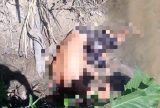 Corpo do sexo masculino é encontrado em igarapé na zona Leste de Manaus