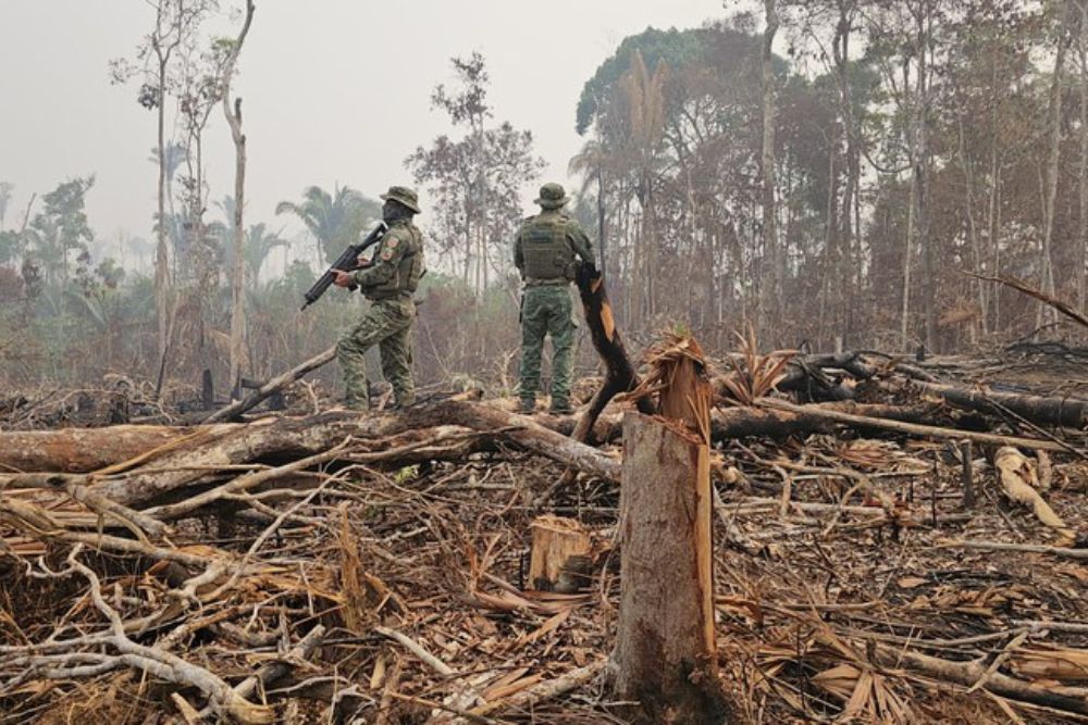 Ibama aplica R$ 173 milhões em multas por desmatamento equivalente a 26 mil campos de futebol em Apuí (AM).